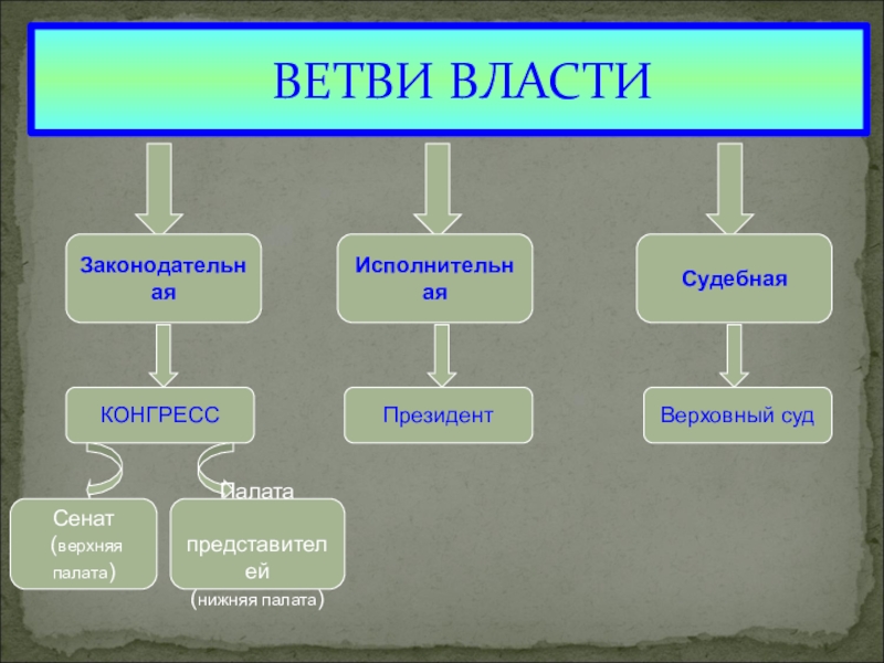 Правительство какая ветвь власти. Ветви власти. Законодательная и судебная ветви власти. Три ветви власти законодательная исполнительная судебная. Ветви власти в Армении.