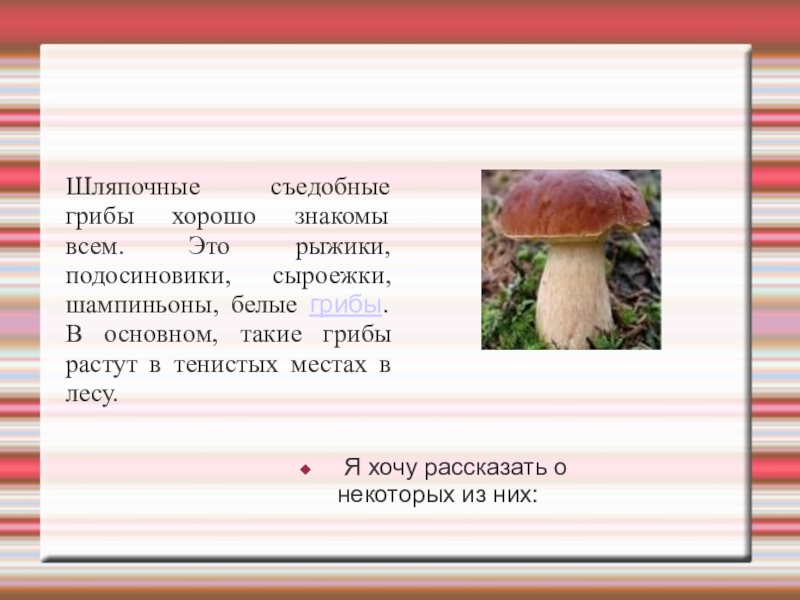 Подосиновик относится к шляпочным грибам. Шляпочные грибы белый гриб. Шляпочные грибы биология. Шляпочные грибы 5 класс. Рассказ про Шляпочные грибы.