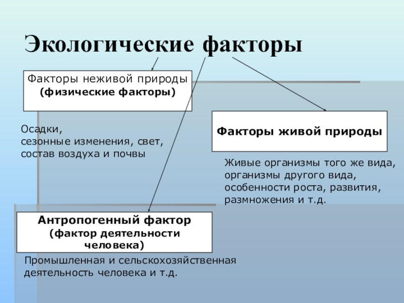 Какие факторы неживой природы. Факторы неживой природы. Фактуры ytживой природы. Экологические факторы, факторы неживой природы. Экологические факторы живой природы.