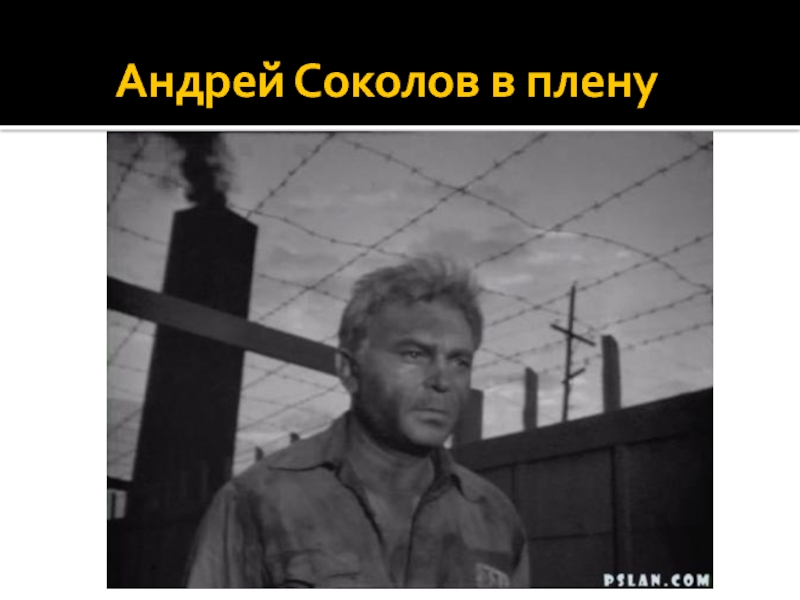 Военная жизнь андрея соколова. Судьба человека 1959.