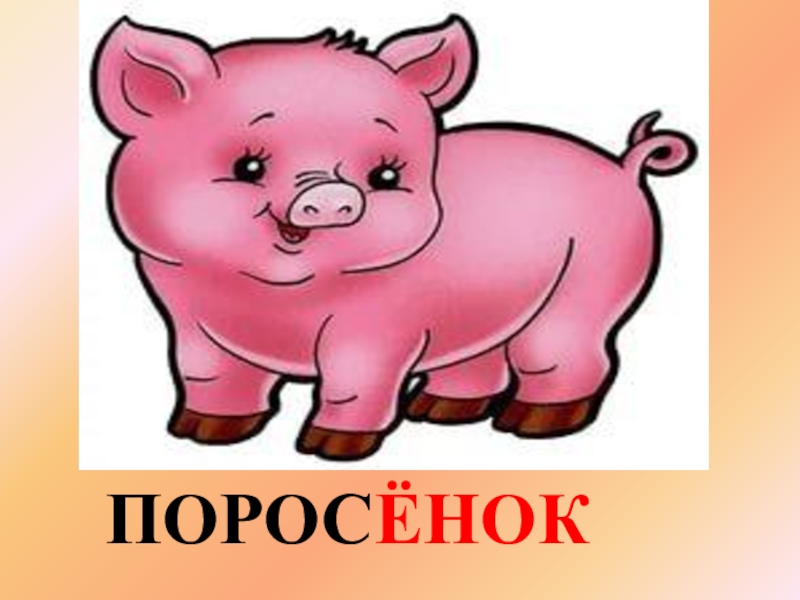 Картинки поросенок для детского сада