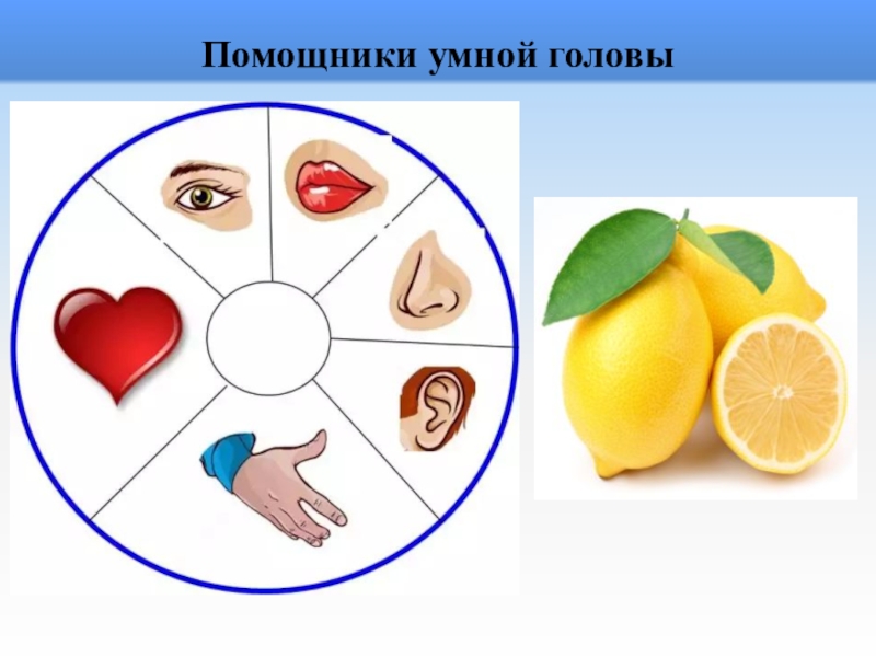 Головная боль народные средства. Горшок на голове. Головой пом. Головой пом. Голосовой ассистент фото.