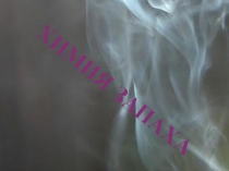 Презентация по химии на тему Сложные эфиры (10 класс)