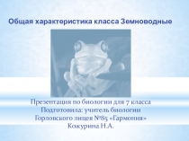 Презентация по биологии на тему Общая характеристика класса Земноводные (7 класс)