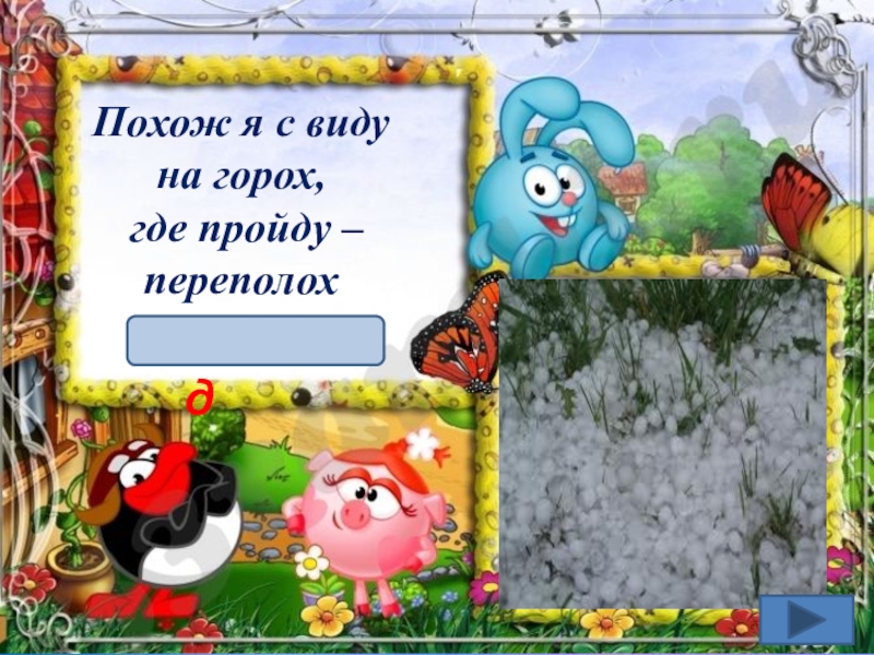 Тайна похожа. Отгадай загадку похож я с виду на горох где я пройду переполох. Похож я с виду на горох. Похожие с виду на горох где пройду переполох. Загадка похож я с виду на горох.