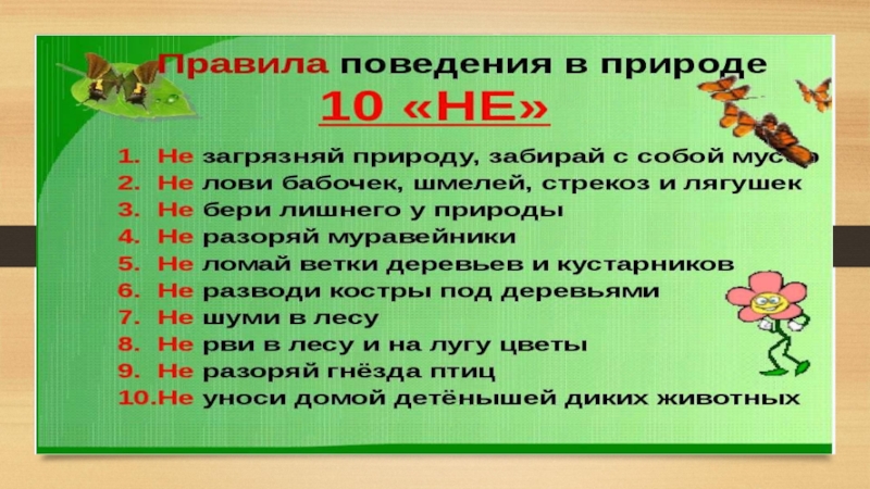 Презентация 3 класс поведение в лесу 3 класс