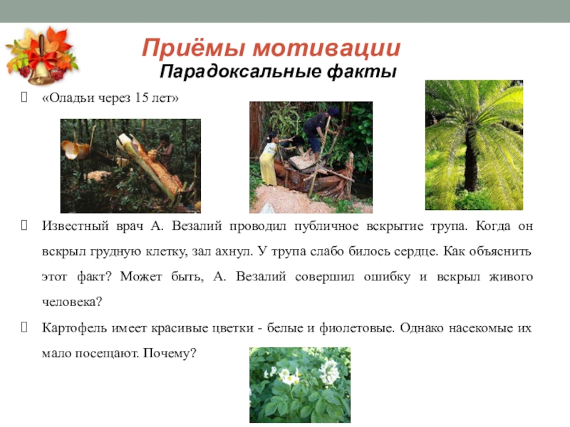 факты о нашем мире. приёмы мотивации на уроках в начальной школе. я не могу констатировать факты парадоксальных. разбор жизненных ситуаций. парадоксально но факт.