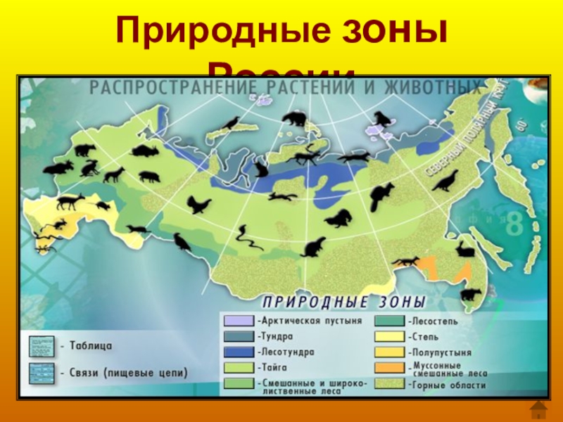 Природные зоны россии 5 класс тест. Проект природная зона пустыня 6 класс. Природные зоны Турции. Таблица на тему природные зоны.
