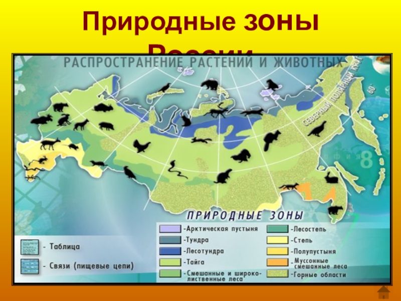 Проект природные зоны