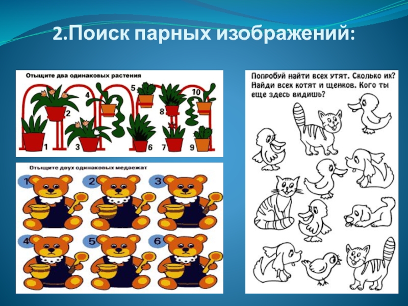 Найдите два. Найди двух одинаковых котов. Поиск одинаковых картинок. Развитие внимания Найди одинаковые предметы. Задания поиск парных изображений.