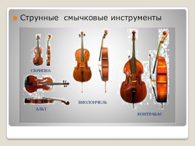 Чем контрабас отличается от виолончели фото