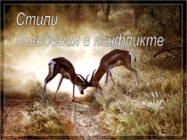 Презентация Стили поведения в конфликте