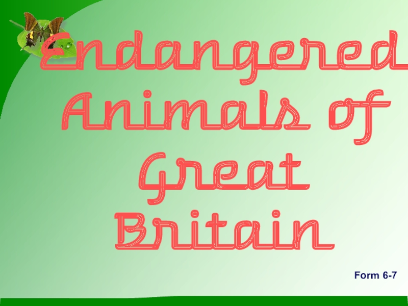 Презентация Презентация по английскому языку  Исчезающие виды животных Великобритании (6-? класс)