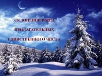 Склонение имен прилагательных единственного числа.СКОУ 8 вида