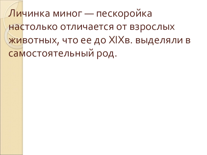 Личинка миног — пескоройка настолько отличается от взрослых животных, что ее до XIXв. выделяли в самостоятельный