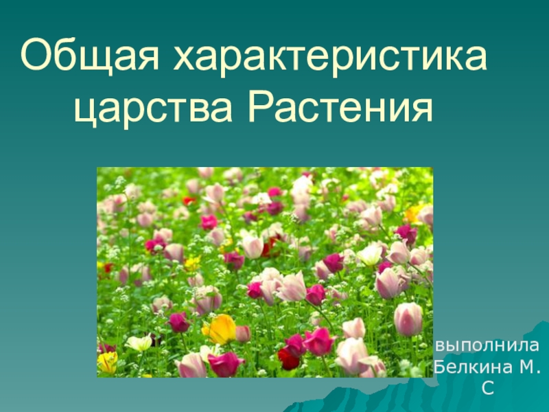 Презентация Презентация по биологии на тему  Общая характеристика растений (5класс)