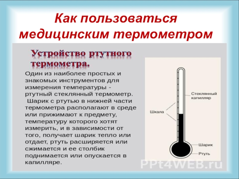 Сколько нужно ртутному градуснику. Как пользоваться ртутным термометром. Замер температуры ртутным термометром. Как пользоваться термометром. Памятка как пользоваться термометром.