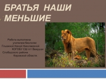 Презентация урока систематизации знаний по теме Млекопитающие (7 класс)