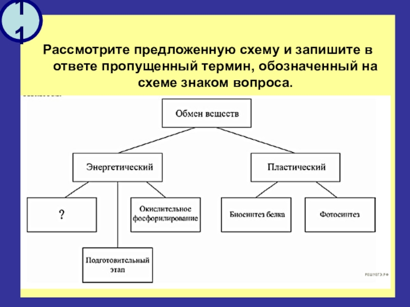 Отвечает схеме. Рассмотрите схему. Пропущенный термин, обозначенный на схеме знаком вопроса. Ответ:. Запишите термин, пропущенный в схеме.. На схеме знаком вопроса обозначено ….