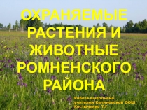Охраняемые растения и животные Ромненского района