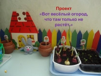 Презентация Вот весёлый огород, что там только не растёт