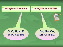 Презентация Макро- и мокроэлементы