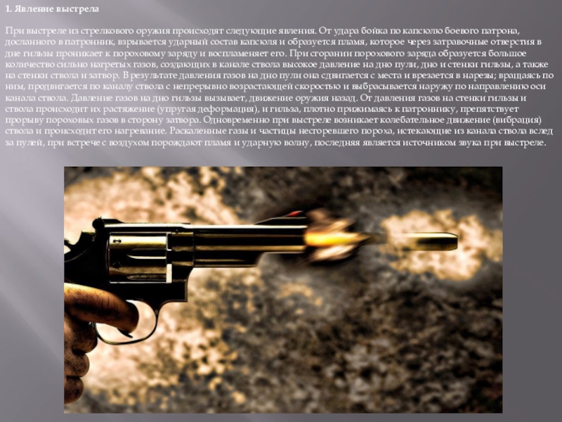 Реферат: Прийоми і правила стрільби з малокаліберної гвинтівки 2