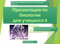 Презентация по биологии Дыхание (8 класс)