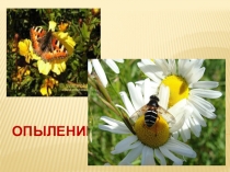 Опыление 6 класс