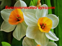 Интерактивная игра по биологии