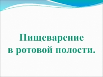 Презентация по биологии на тему Пищеварение в ротовой полости (8 класс)