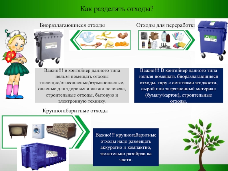 Проект разделение мусора