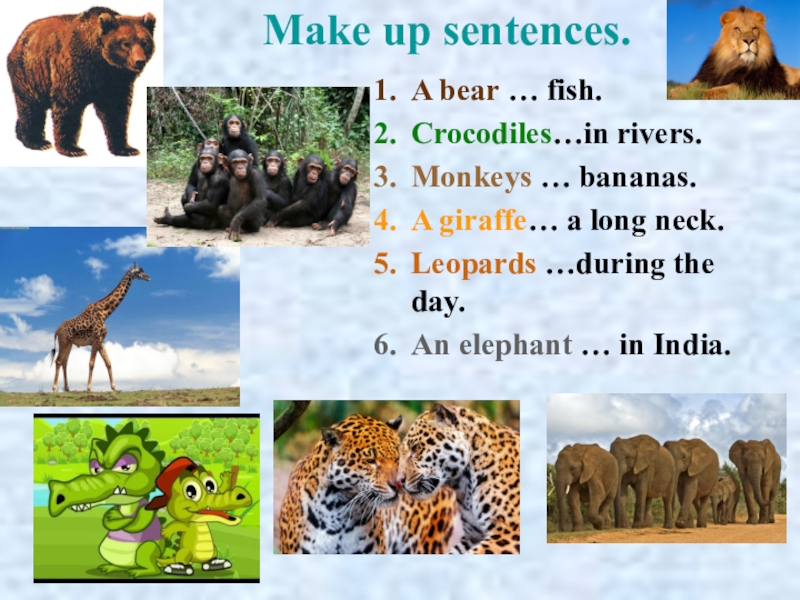 Make up sentences.A bear … fish.Crocodiles…in rivers.Monkeys … bananas.A giraffe… a long neck.Leopards …during the day.An elephant