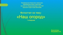 Презентация-фотоотчет на тему наш огород, первая младшая группа