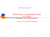 Презентация по окружающему миру Кто такие рыбы