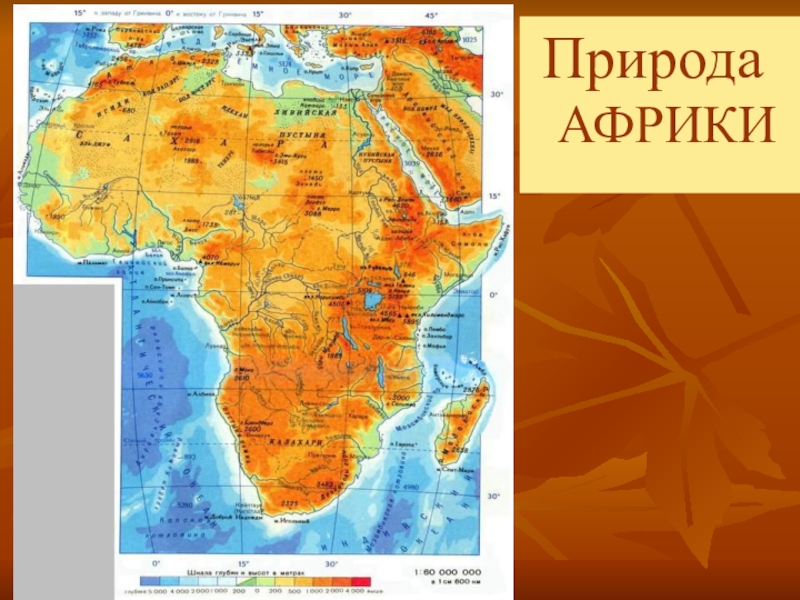 Цивилизации тропической африки и америки 6 класс презентация