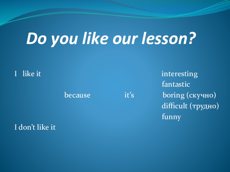 Do you like our lesson?I  like it