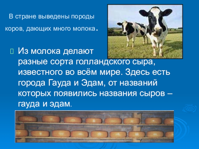 Доклад про нидерланды 3 класс окружающий мир по плану