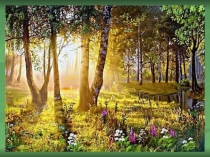 Презентация по природоведению на тему Деревья, кустарники, травы (6 И класс, школа VIII вида)