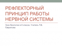 Презентация к уроку биологии в 8 классеРефлекторный принцип работы нервной системы