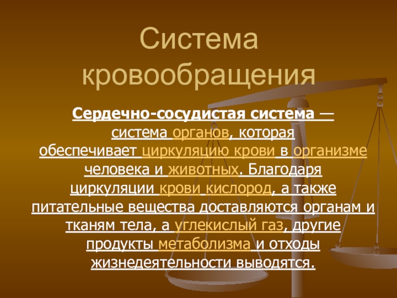 Реферат: Сердечно-сосудистая система животных