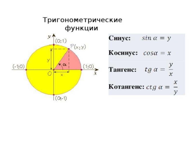 Определение синуса косинуса и тангенса угла 10 класс презентация алимов