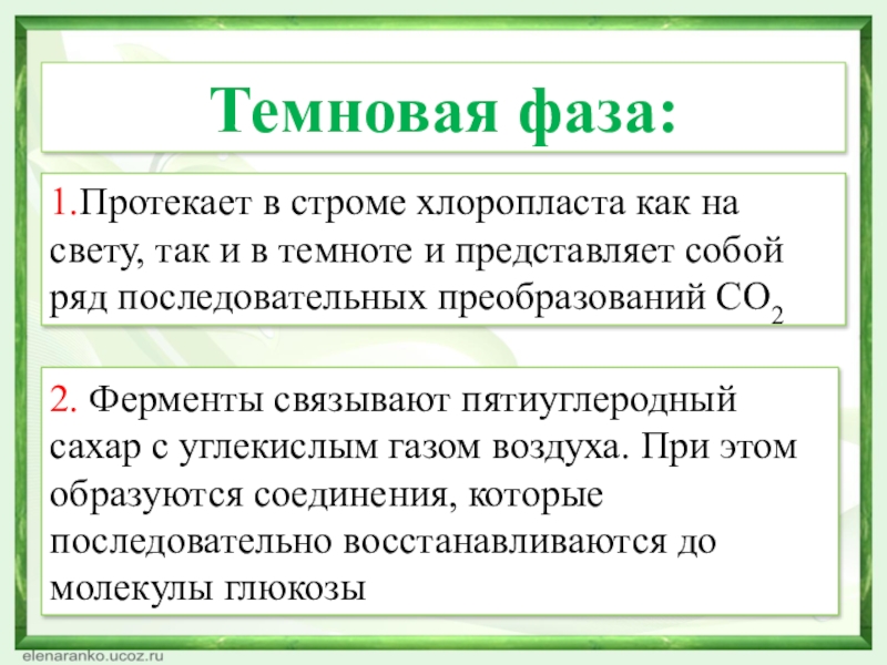 1.Протекает в строме хлоропласта как на свету, так и в темноте и представляет собой ряд последовательных преобразований