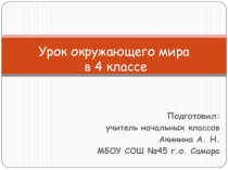 Природная зона России: зона лесов