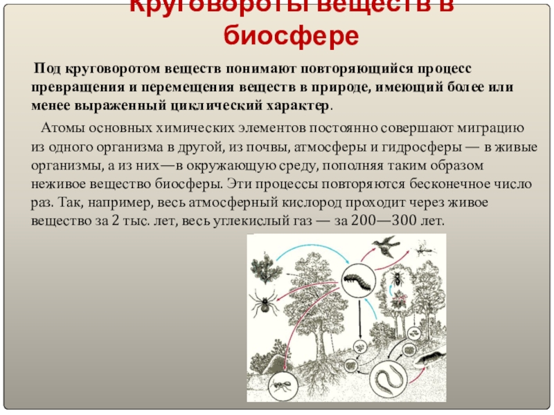 Каково значение круговорота в природе. Основные процессы в биосфере. Перемещение веществ в биосфере. Идея цикличности, круговорота истории впервые оформляется:. Миграция химический элементов биогеофизический процесс.