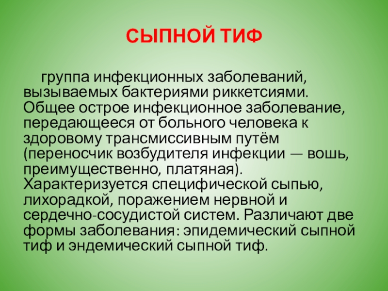 Сыпной тиф инкубационный. Эпидемический сыпной тиф симптомы.