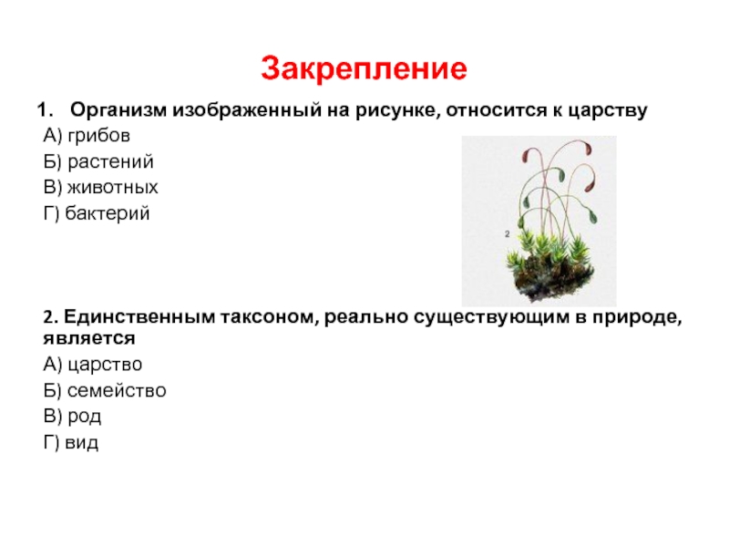 Система живых организмов на земле презентация 10 класс пономарева