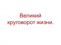 Презентация по окружающему миру на тему Круговорот жизни