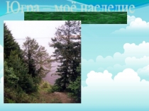 Каковы особенности природы Югорского края