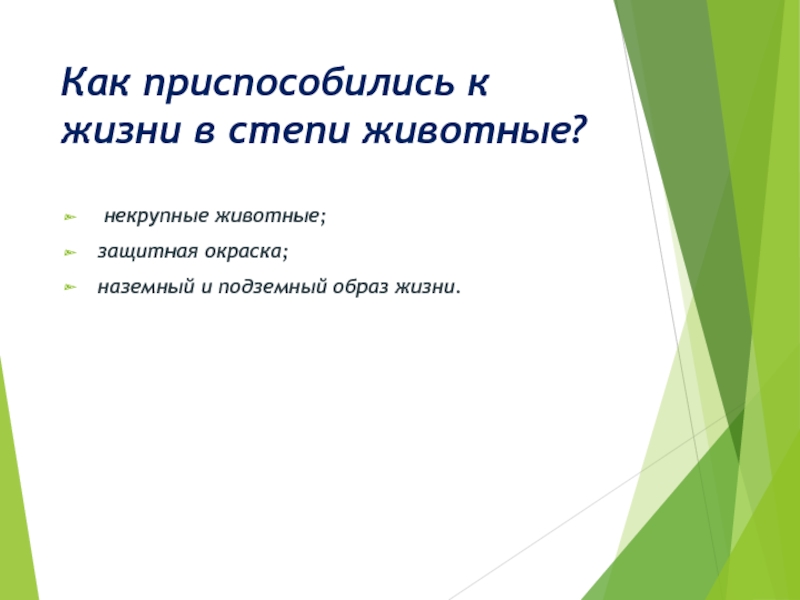 Как животные приспособились к жизни в степи. Как приспособились животные в степи. Как животные в степи приспосабливаются к условиям. Как животные степей приспособились к условиям жизни.